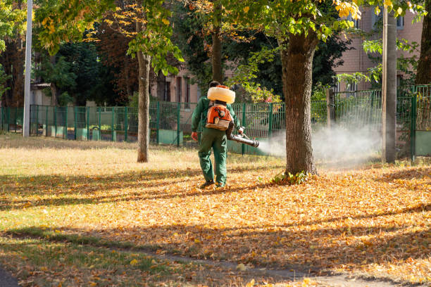 Best Pest Control for Homes  in Little Silver, NJ